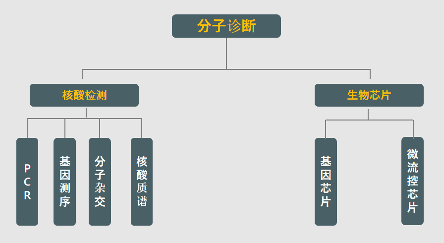 开云体育-kaiyun开云体育官网-Kaiyun sports