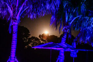 SpaceX Rocket Launch from Florida: Early Morning Liftoff and Palm Beach Viewing Guide