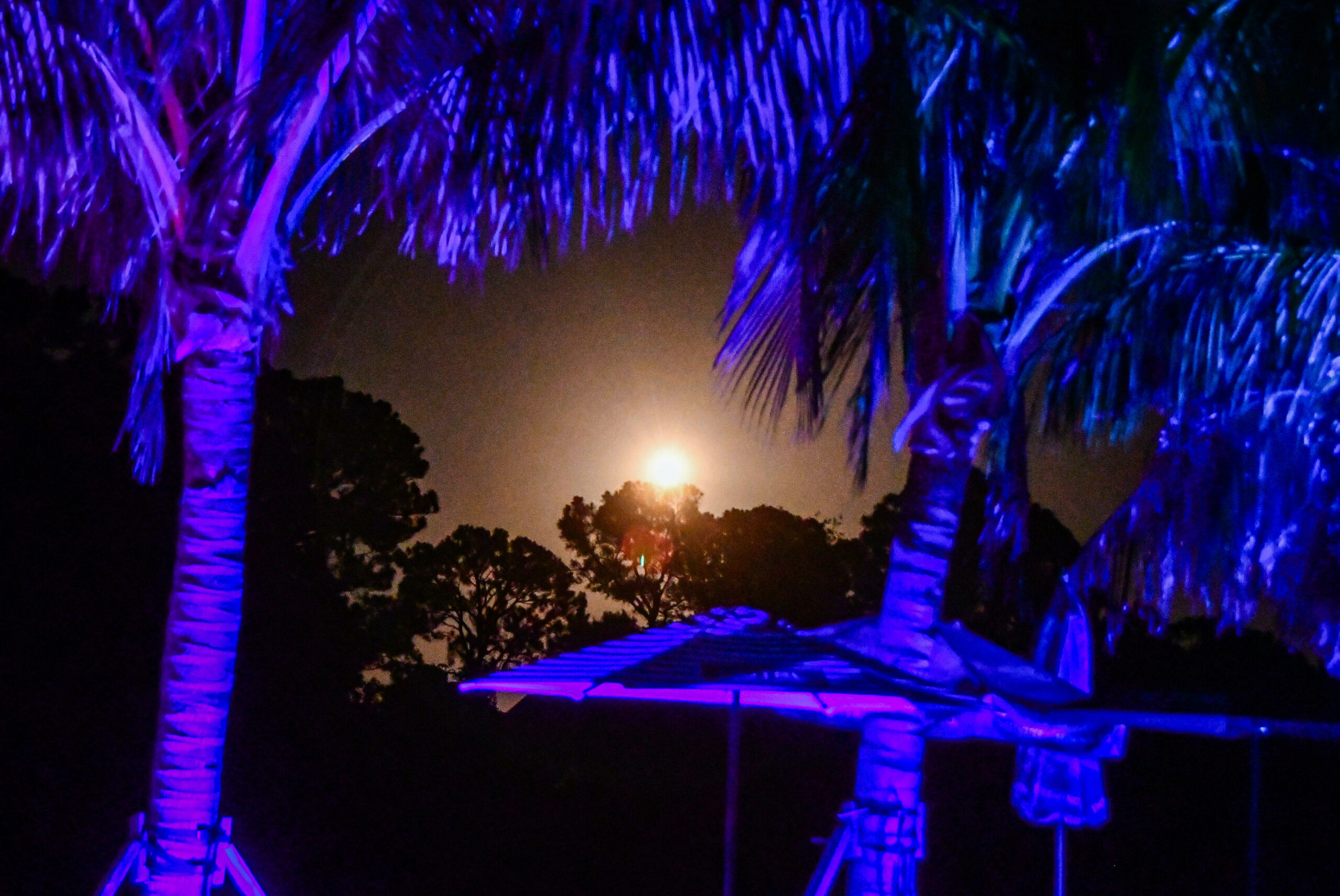 SpaceX Rocket Launch from Florida: Early Morning Liftoff and Palm Beach Viewing Guide