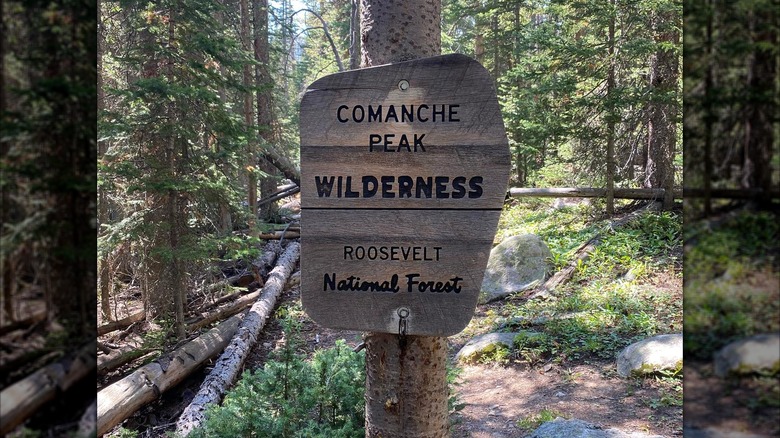 Hike to a Haunted Plane Crash Site Near Bellvue Amid Colorado’s Majestic Mountains
