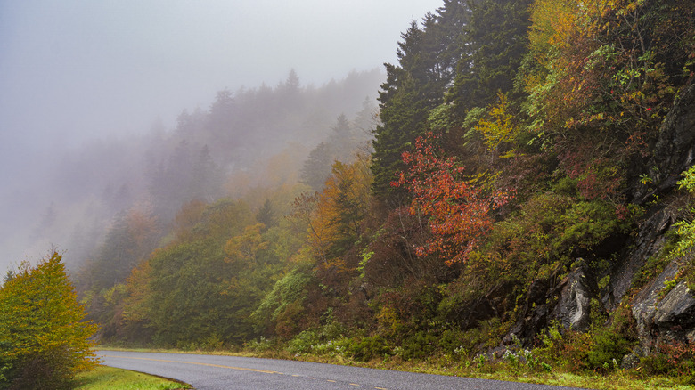 Solo traveler? Tracee Ellis Ross shares her tips for a great trip
