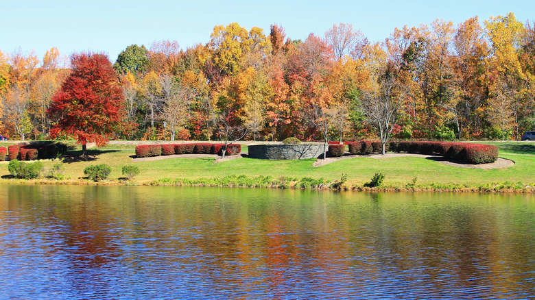 A Quaint Virginia Town Just an Hour from D.C. Offers Craft Beer, a One-of-a-Kind Museum, and Timeless Charm