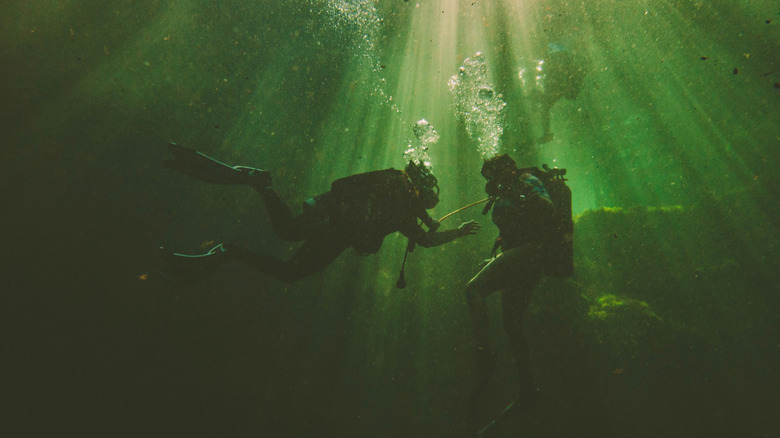 I’m a Photographer’s New Favorite: The OM-3 for Adventure and Travel