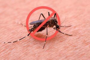 Franklin County Mosquitoes Overwhelm — Fight Back Now