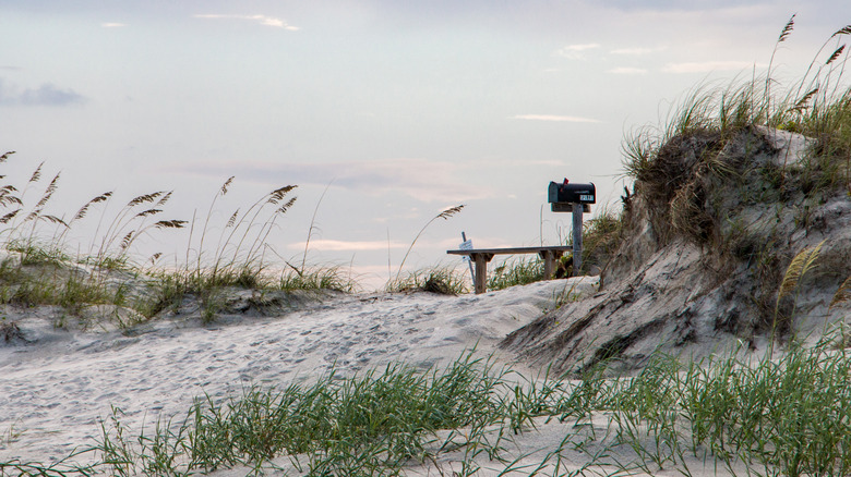 A Mysterious Beach Mailbox Holds Decades Of North Carolina’s Secrets