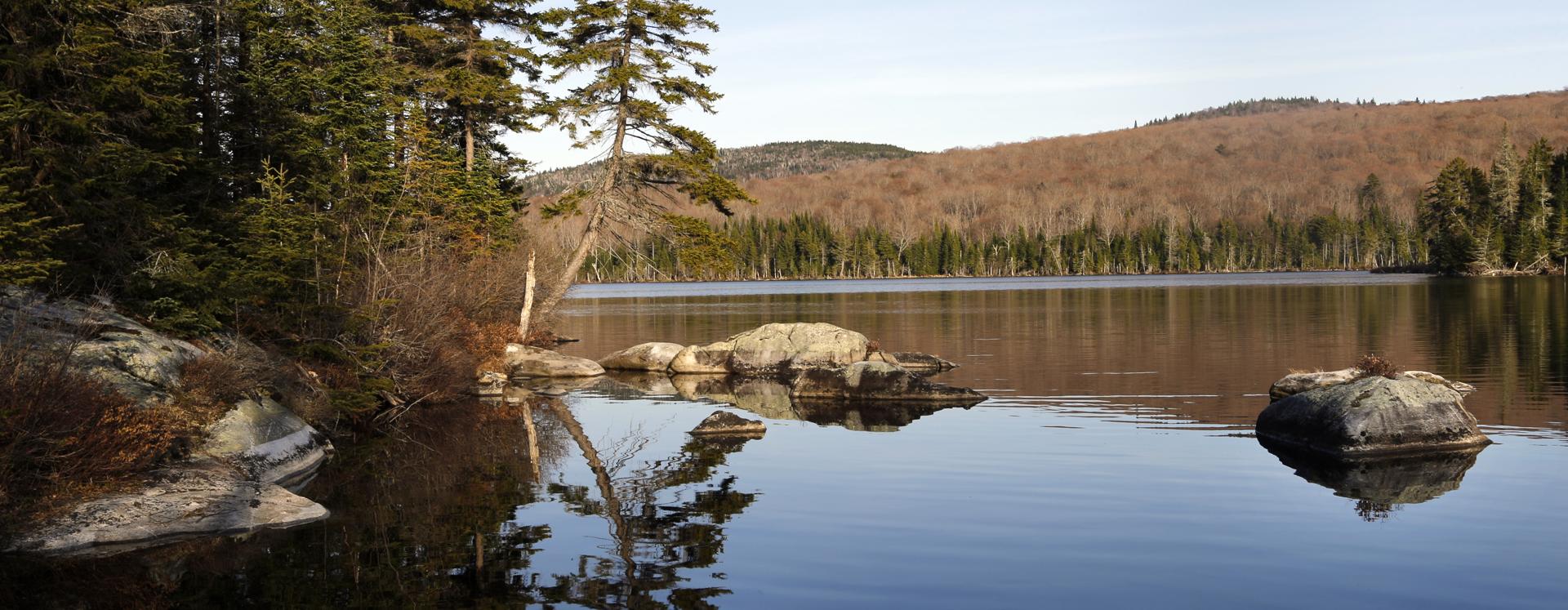 Discover hidden gems: underrated travel spots and events in New England