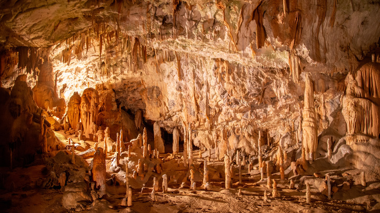 America’s Unique Ride-Thru Cave: Year-Round Tours of Ancient Midwest Formations