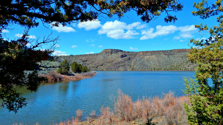 Hidden in Oregon’s Ochoco Foothills: A Hidden Gem with Lake Views and Open Trails