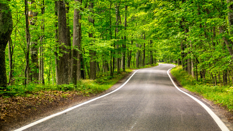 A Hidden Village With Beaches And Polish Charm Beneath Michigan’s Tunnel-Of-Trees