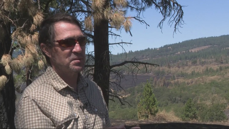 Washington winemakers face uncertain future after Burdoin Fire devastation