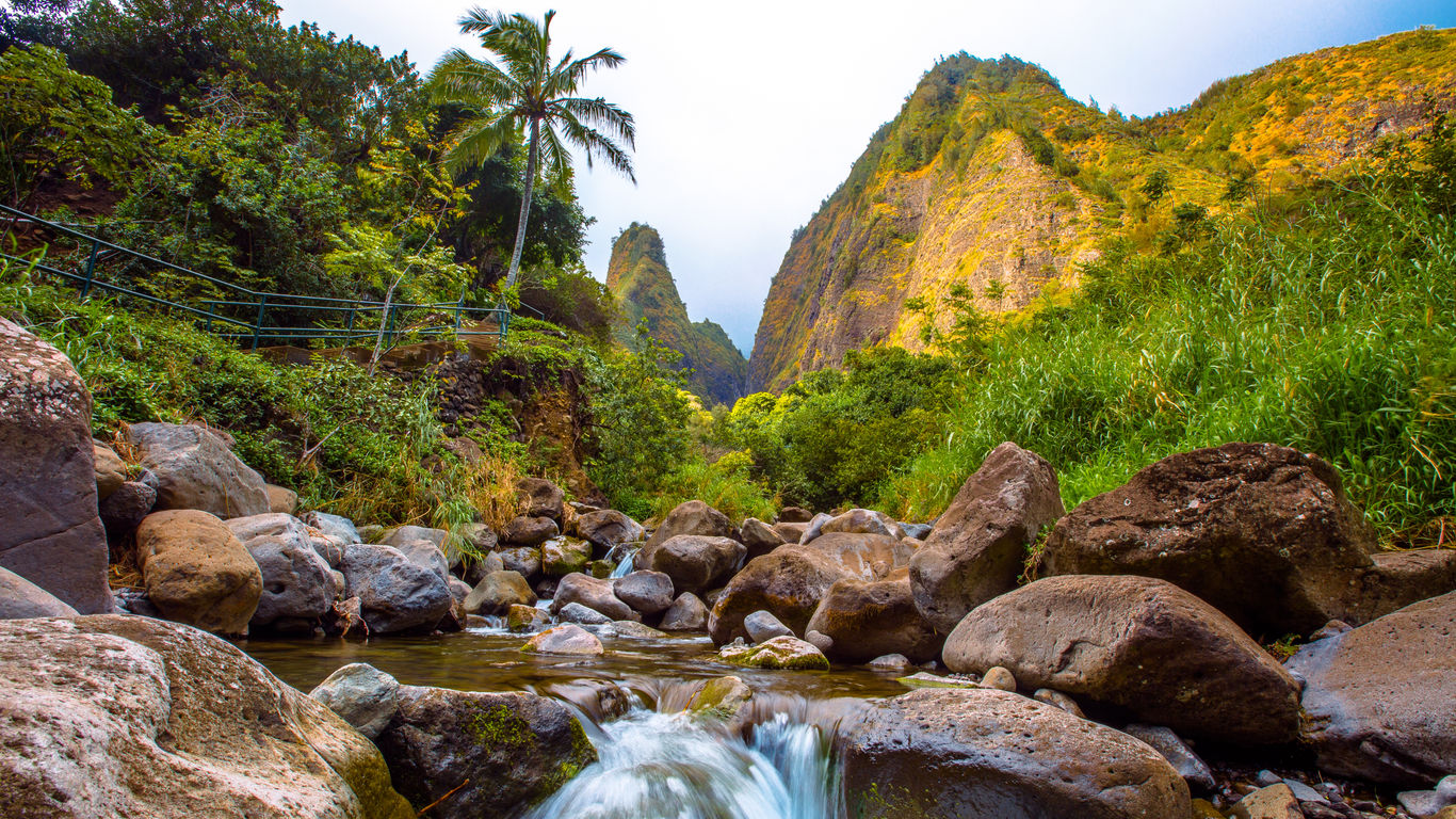 New Tourist Taxes, Falling US Tourism: Top Destination Updates July 2024