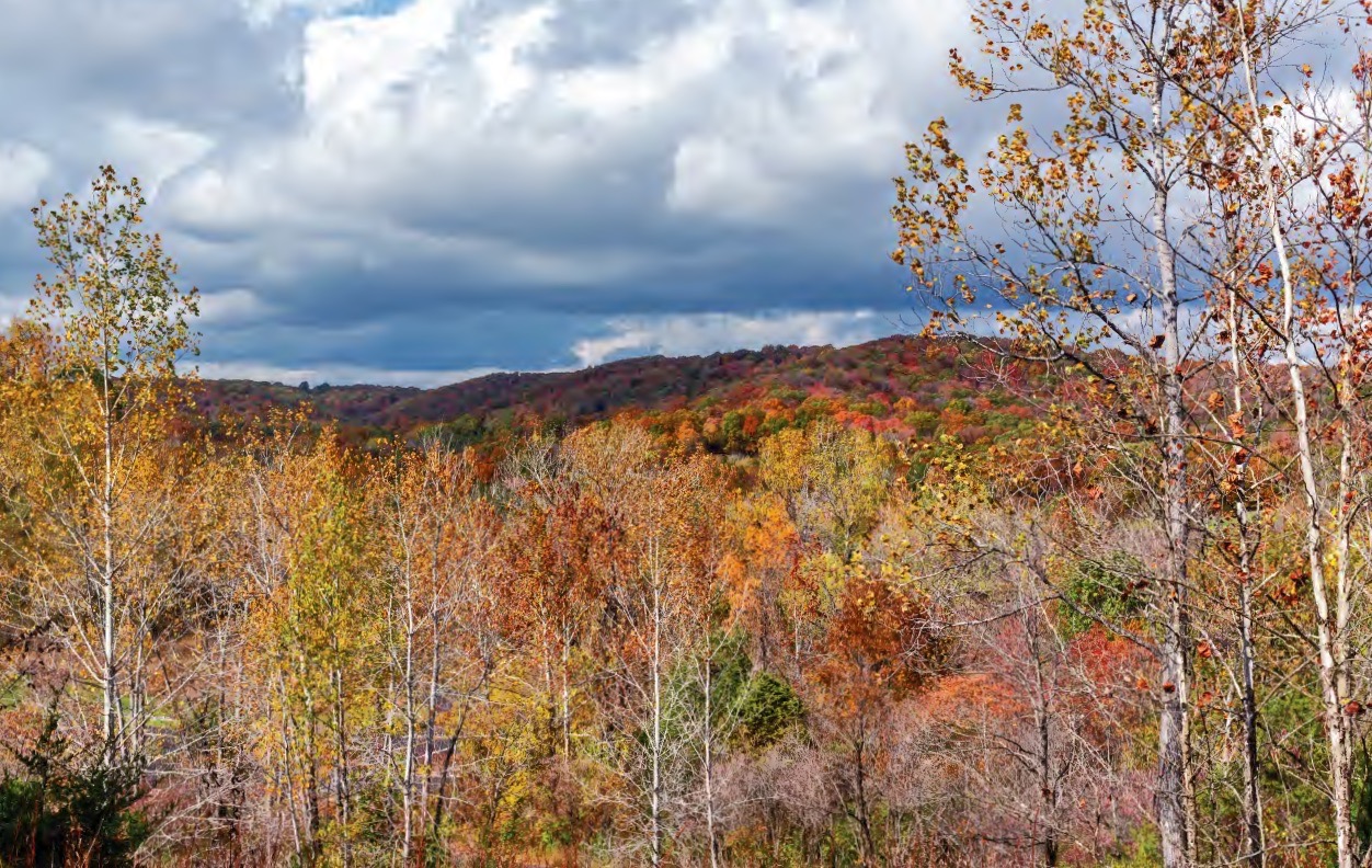 Chart Wise: St. Charles VOR Runway 18