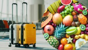 Can I Bring Food Back From Vacation? Essential Travel Rules for Food and Fruit Restrictions