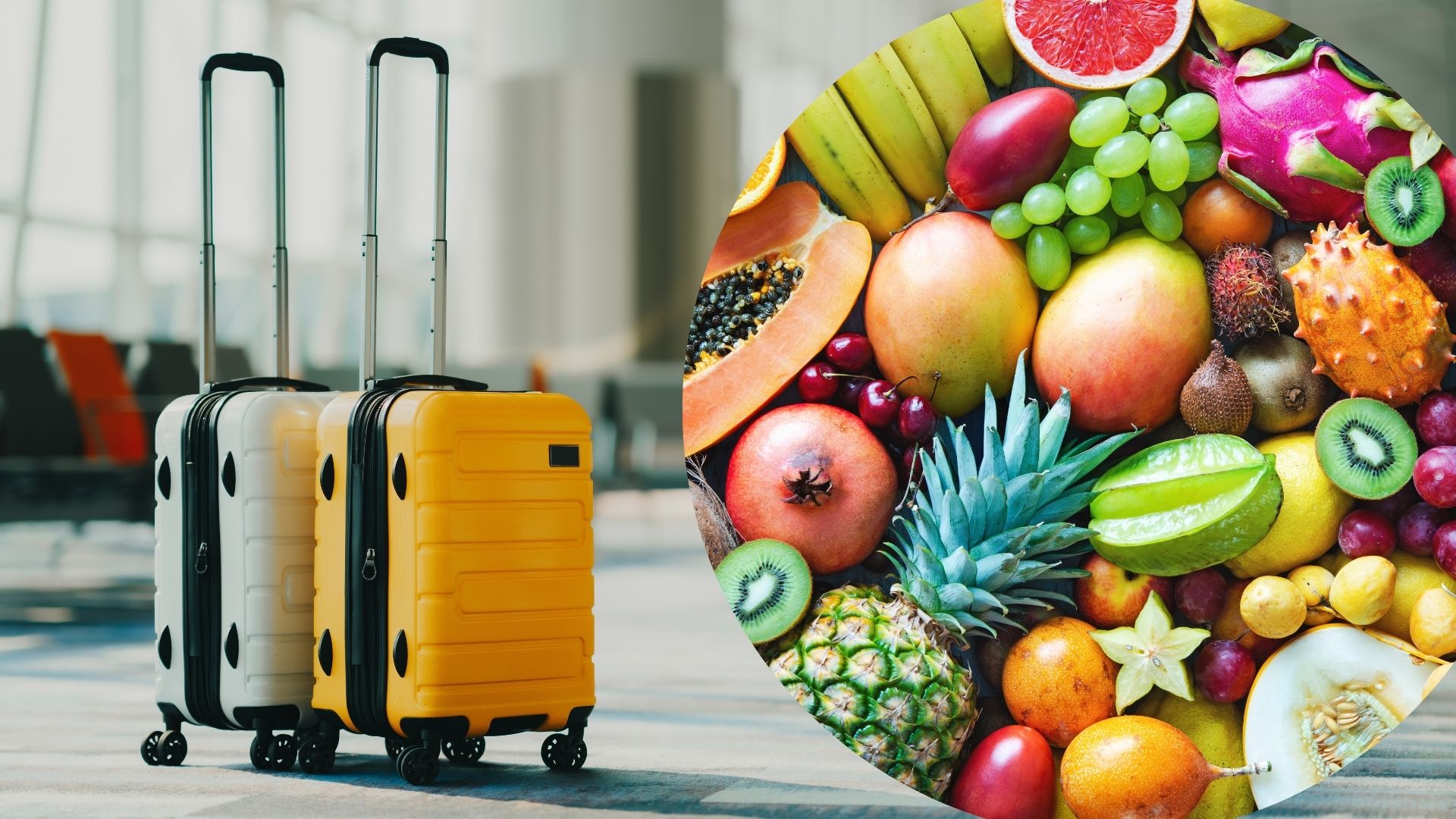 Can I Bring Food Back From Vacation? Essential Travel Rules for Food and Fruit Restrictions