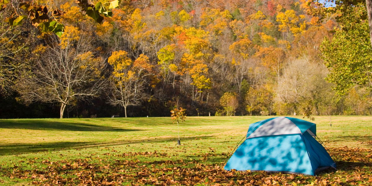 Top Camping Spots in Columbia, Missouri