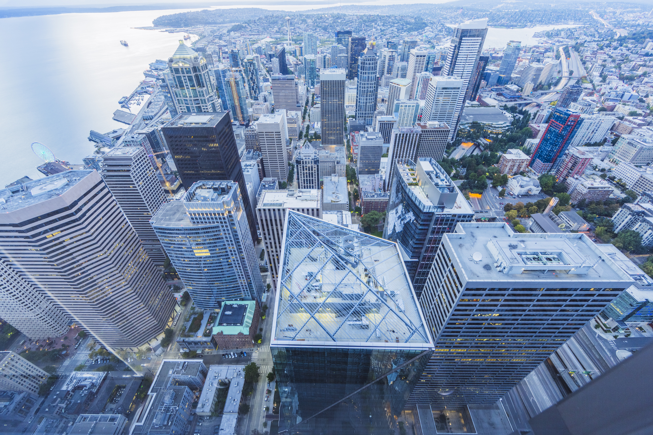 Seattle’s New Front Porch: Pier 58 Park Unveiled After Years of Transformation