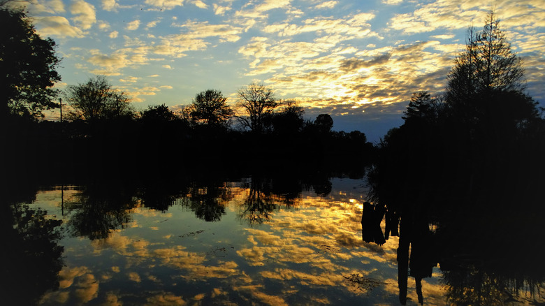 Discover Louisiana’s Hidden Lakeside Gem for Affordable Fun