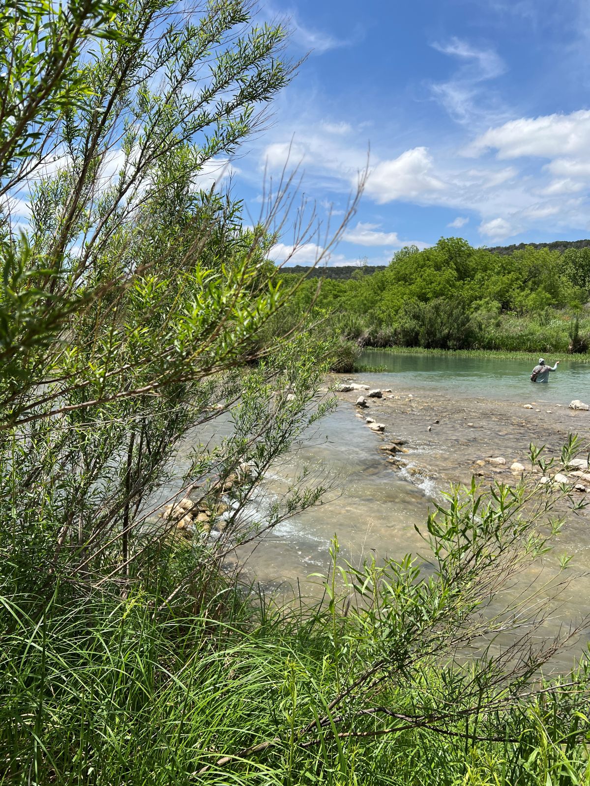 9 Budget-Friendly Texas State Parks to Explore