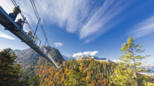 A Hidden Alpine Gem: A Castle Connected by a Breathtaking Bridge