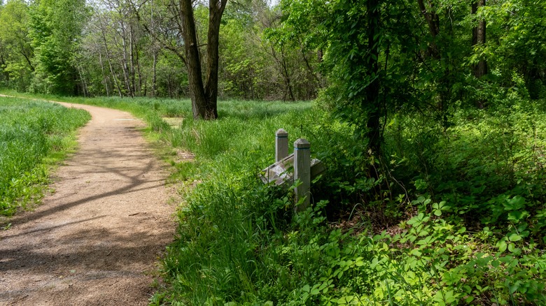 Hidden Gem: Virginia’s Lush State Park Along the Potomac Trail