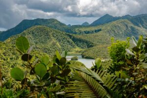 I Never Loved the Caribbean—Until This Island Changed My Mind