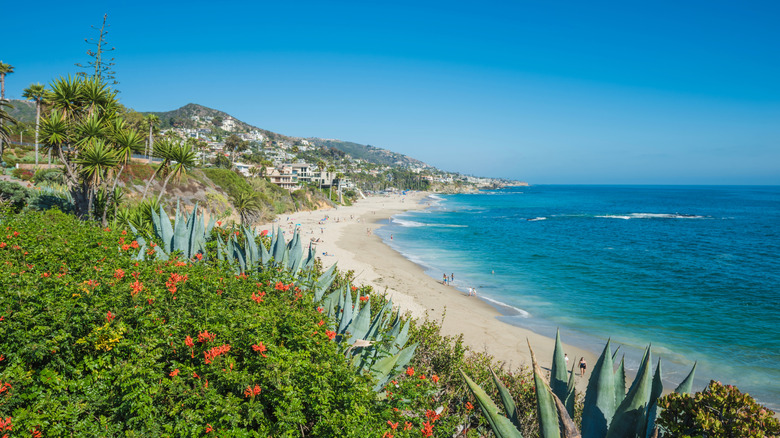 A Hidden Gem Between Long Beach and San Diego: Whale-Watching, Beaches, and Beauty