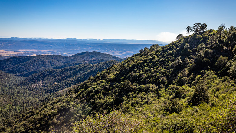 Hidden Gem In Arizona: A Nature Lover’s Paradise