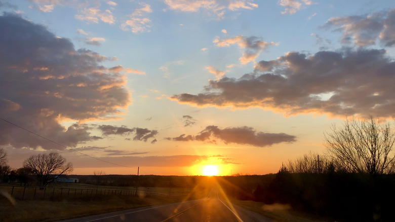 The ‘Blackberry Capital of the World’ Hides in This Charming Southern Town