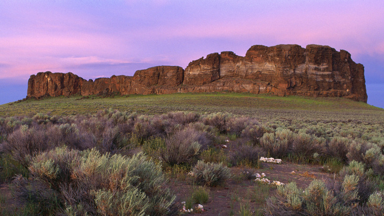 A Majestic Natural Wonder Rises From Oregon’s Flat, Barren Terrain