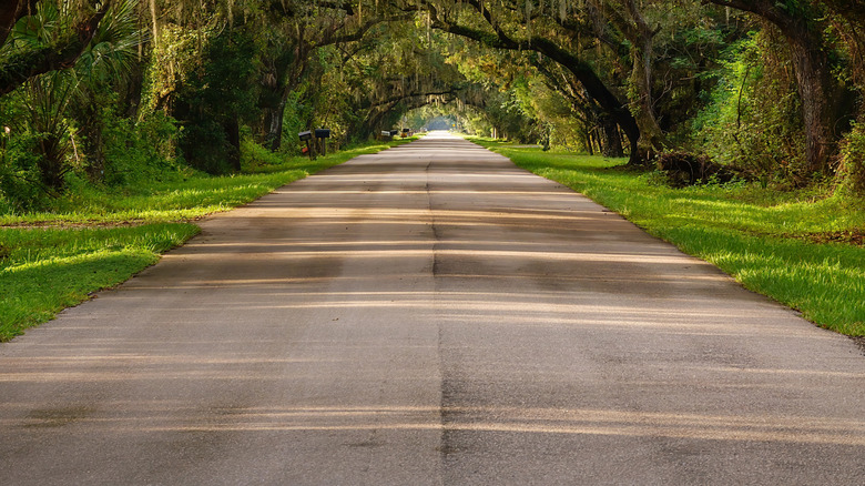 A Hidden Gem in Northern Florida: A Lakeside Town for Watersports Enthusiasts