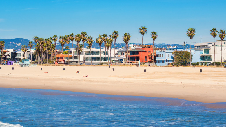 California Beach With Highest Cleanliness Complaints Worldwide