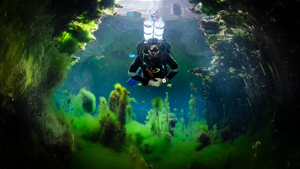 Dive beneath Budapest’s streets, far from the sea