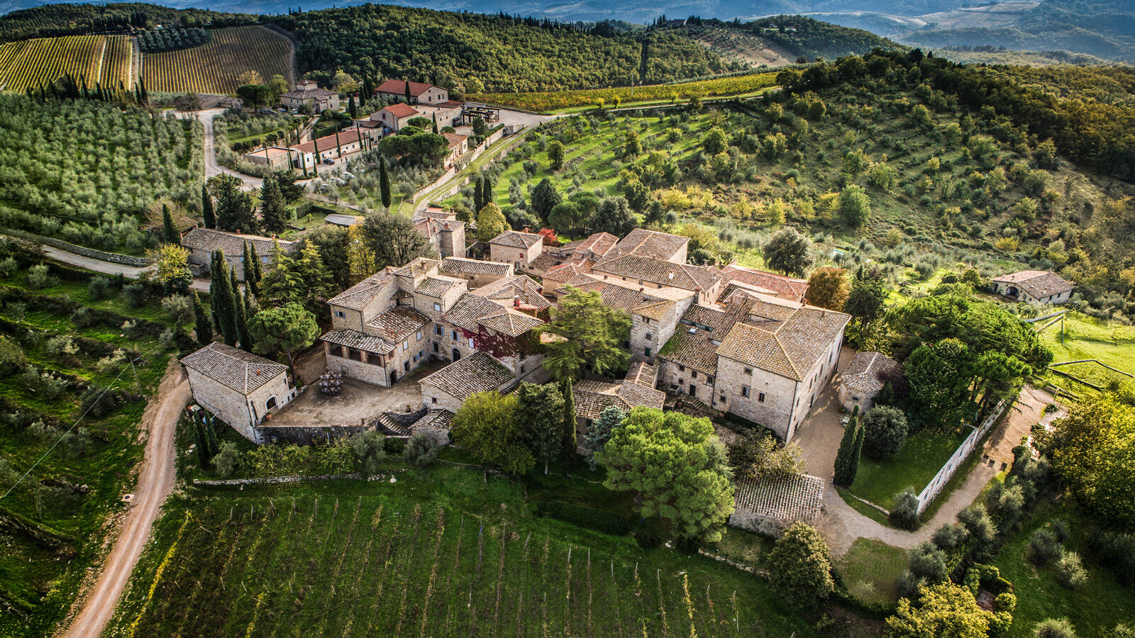 Wine and Art in Harmony