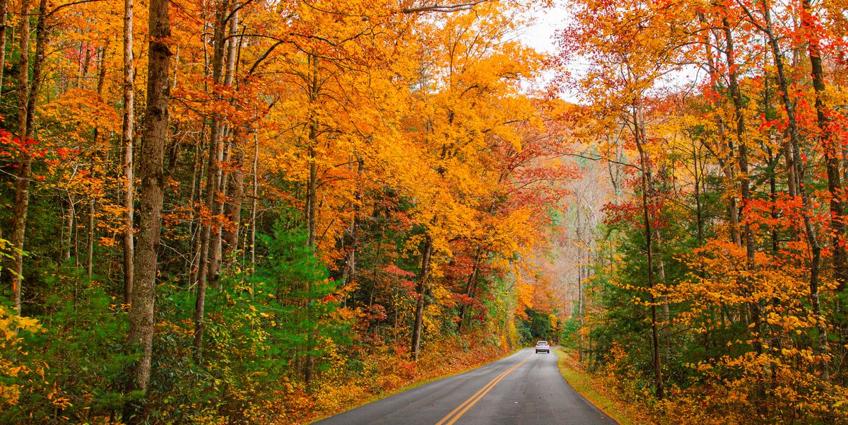 The Best Day for Leaf-Peeping, According to the Old Farmer’s Almanac