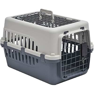 Preparing Your Cat for a Safe and Stress-Free Road Trip