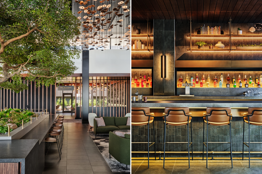 Amex Unveils Travel App with 5 Essential Features for Travelers