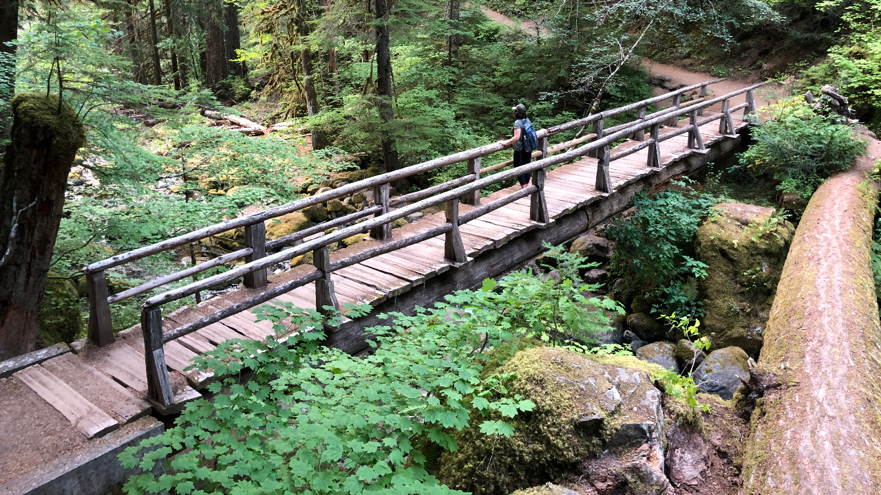 The Only Year-Round Silver Falls Trail