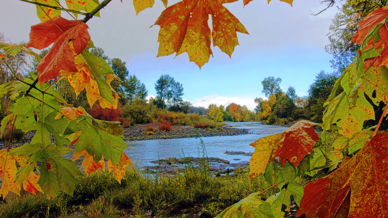 Oregon’s Nevada-Style Casino Shines in the Stunning Umpqua Valley with Amazing Amenities and Gaming