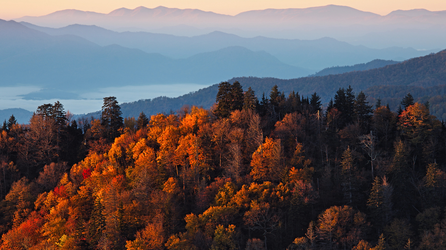 How to Use the U.S. Fall Foliage Map This Season