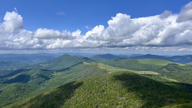 Scenic State Park in North Carolina’s Mountains Offers Wildflowers, Hiking, and Backcountry Adventures