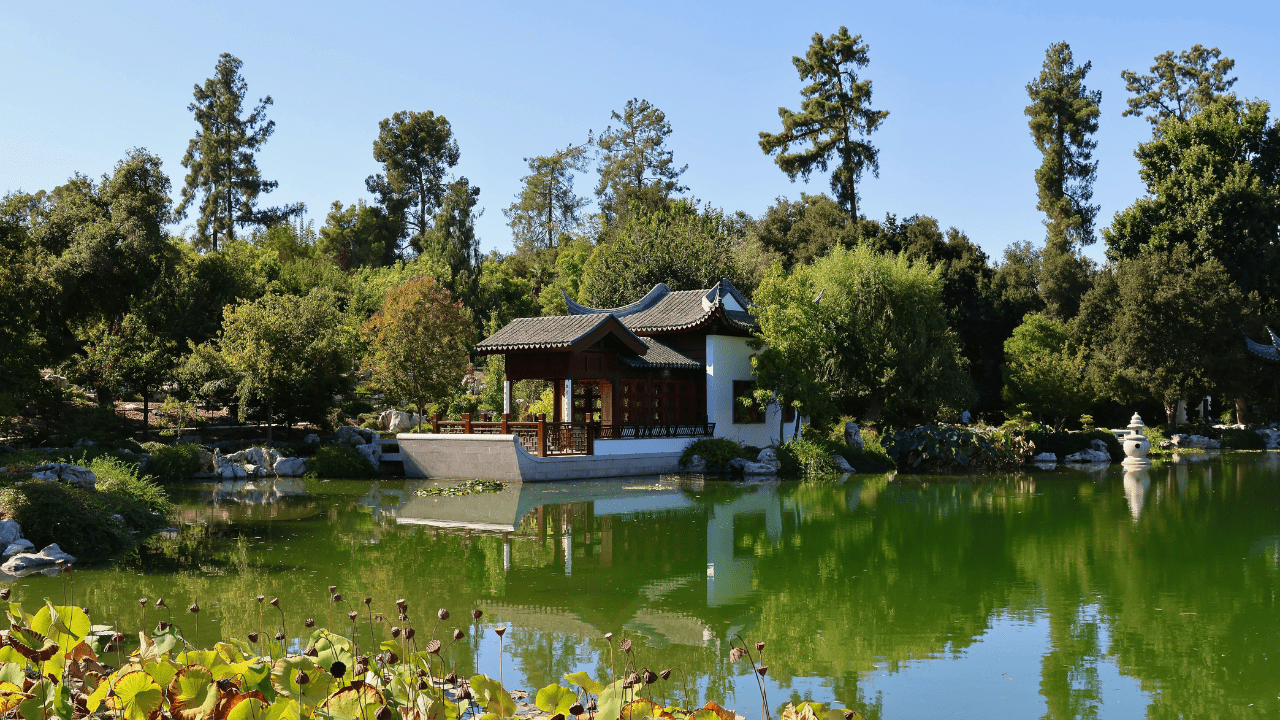 Stunning U.S. Botanical Gardens to Explore