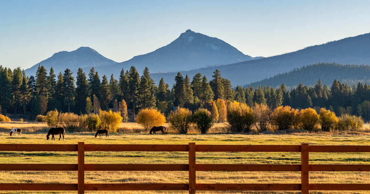 Sisters, Oregon: A Autumn-Alive Small Town