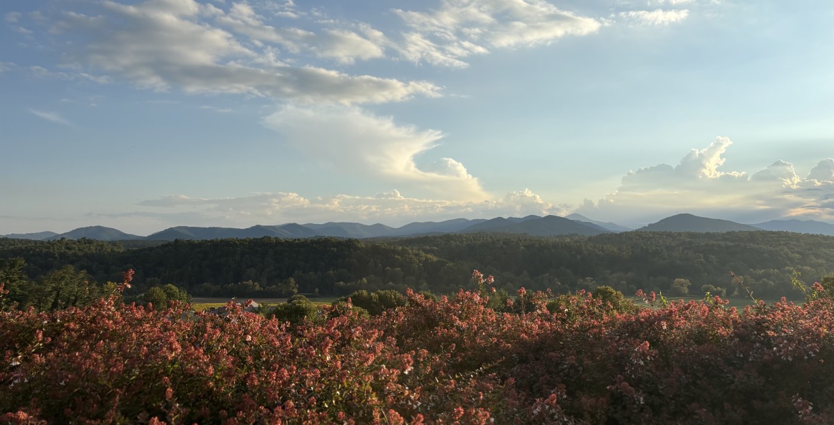 Cozy Mountain Towns with Art and Cuisine: Your Ultimate Fall Escape