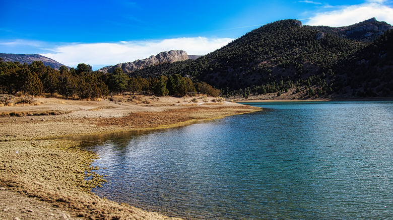 Nevada’s Hidden Gem: Serene Lakes and Desert Adventures Await