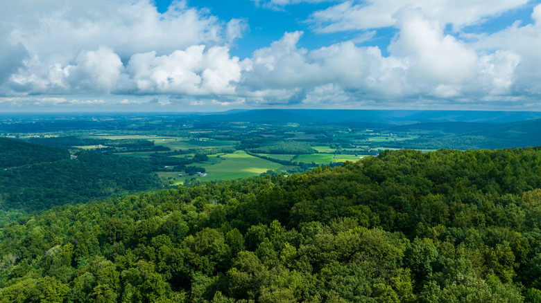 Tennessee’s Hidden Mountain Gem Offers Appalachian Charm and Mouthwatering Meals