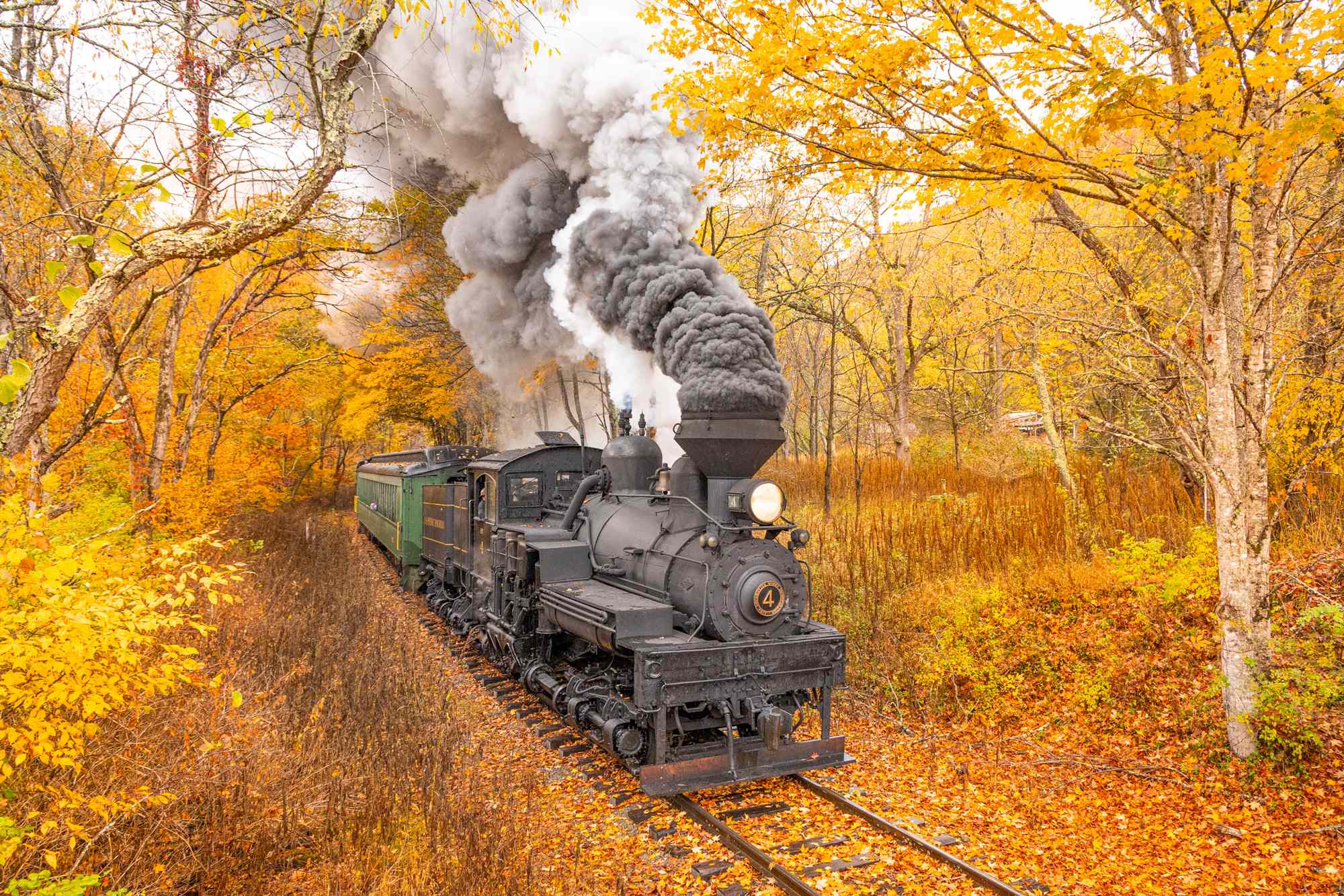 Scenic Train Ride Through West Virginia Reveals Stunning Fall Foliage