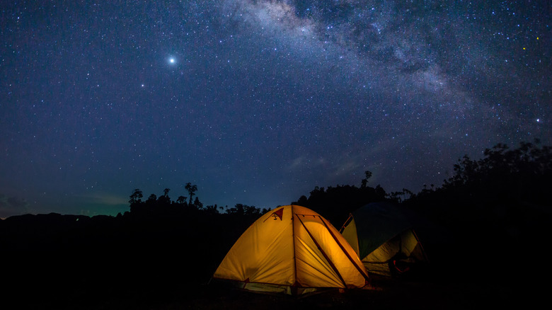 Hidden in New Mexico’s Gila National Forest: A Stunning Campground for Dark Sky Stargazing