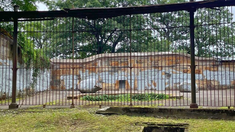Secrets Beneath Franklin Park’s Trees: Forgotten Bear Cages of a Lost Zoo