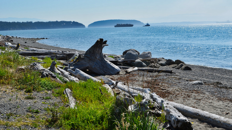 Washington’s Hidden Gem Island Offers Stunning Nature and Adventure