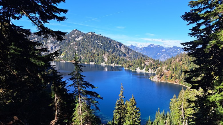 Washington’s Hidden Alpine Hiking Gem: A Secret Alternative to Mount Rainier